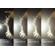 NiSi Black Mist Filter: Picture 7 thumbnail