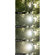 NiSi Black Mist Filter: Picture 5 thumbnail