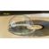 NiSi Close Up Lens: Picture 6 thumbnail