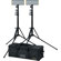 Ikan OYB240 Light Kit: Picture 1 thumbnail