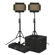 Ikan OYB5 Half x 1 Light Kit: Picture 1 thumbnail