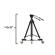 Ikan Teleprompter: Picture 2 thumbnail