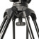 Ikan Teleprompter: Picture 9 thumbnail