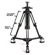 Ikan Teleprompter: Picture 30 thumbnail