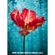 NiSi 250mm f/5.6 Reflex Mirrorless Lens: Picture 6 thumbnail