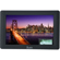 Ikan Saga Monitor: Picture 1 thumbnail