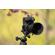 NiSi Atoll: Picture 13 thumbnail