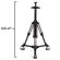 Ikan PT4900-V2-PEDESTAL: Picture 3 thumbnail