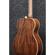 Ibanez AC340L: Picture 3 thumbnail