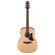 Ibanez AAD100E: Picture 1 thumbnail