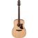 Ibanez AAD100: Picture 1 thumbnail