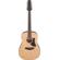 Ibanez AAD1012E: Picture 1 thumbnail