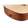 Ibanez AAD1012E: Picture 11 thumbnail