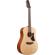 Ibanez AAD1012E: Picture 3 thumbnail