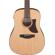 Ibanez AAD1012E: Picture 4 thumbnail