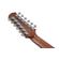 Ibanez AAD1012E: Picture 9 thumbnail