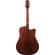 Ibanez AAD170LCE: Picture 3 thumbnail