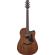 Ibanez AAD190CE: Picture 1 thumbnail