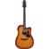 Ibanez AAD50CE: Picture 1 thumbnail