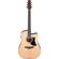 Ibanez AAD Advanced Acoustic: Picture 14 thumbnail