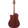 Ibanez AAD50CE: Picture 2 thumbnail
