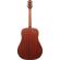 Ibanez AAD Advanced Acoustic: Picture 2 thumbnail