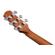 Ibanez AAD Advanced Acoustic: Picture 9 thumbnail