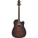 Ibanez Advanced Acoustic Series AAD51CE ...: Picture 1 thumbnail