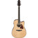 Ibanez Advanced Acoustic Series AAD51CE ...: Picture 1 thumbnail