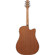Ibanez AAD51LCE: Picture 2 thumbnail