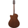 Ibanez AAM300CE: Picture 2 thumbnail
