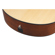 Ibanez AAM300CE: Picture 11 thumbnail