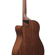 Ibanez AAM300CE: Picture 14 thumbnail
