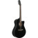 Ibanez AAM340CE: Picture 6 thumbnail
