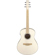 Ibanez AAM370E: Picture 1 thumbnail