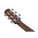 Ibanez AAM380CE: Picture 9 thumbnail