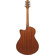 Ibanez AAM50CE: Picture 2 thumbnail