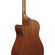 Ibanez AAM50CE: Picture 5 thumbnail