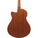 Ibanez AAM50CE: Picture 11 thumbnail