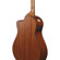 Ibanez AAM50CE: Picture 13 thumbnail