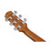Ibanez AAM50CE: Picture 15 thumbnail