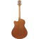 Ibanez AAM50CE: Picture 2 thumbnail