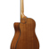 Ibanez AAM50CE: Picture 14 thumbnail