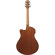 Ibanez AAM50CE: Picture 2 thumbnail