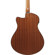 Ibanez AAM50CE: Picture 11 thumbnail