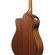 Ibanez AAM50CE: Picture 13 thumbnail