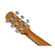 Ibanez AAM50CE: Picture 15 thumbnail