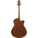 Ibanez AAM50LCE: Picture 2 thumbnail