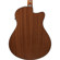 Ibanez AAM50LCE: Picture 8 thumbnail