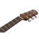 Ibanez AAM50LCE: Picture 11 thumbnail